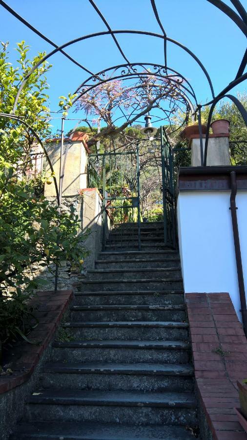 La Depandance Della Nonna Apartment Camogli Exterior photo